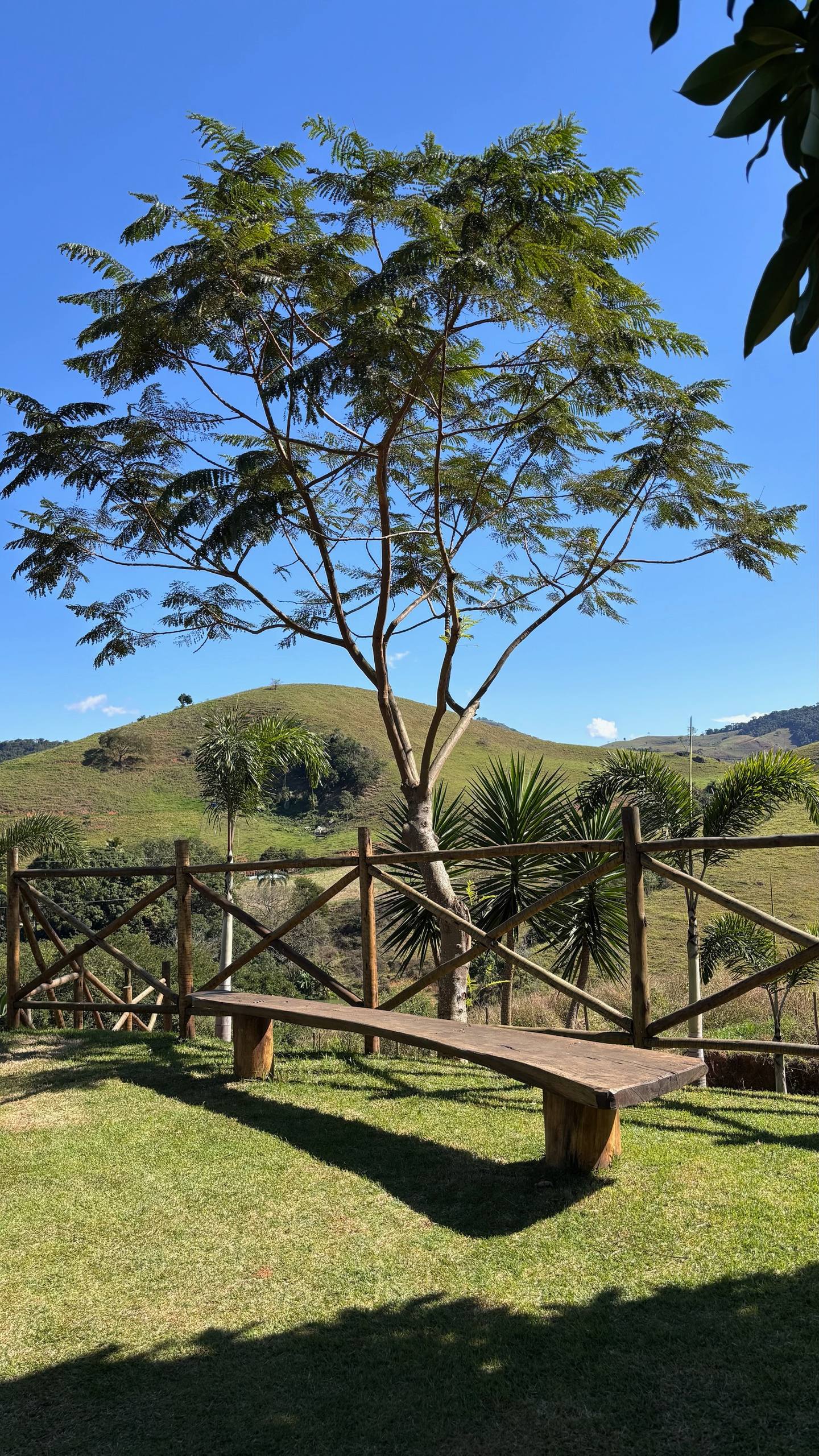 Cantos aconchegantes